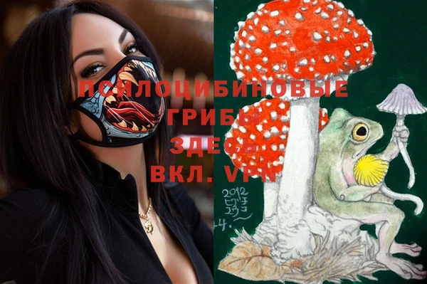 твердый Балахна