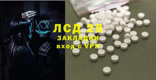 гашик Аркадак