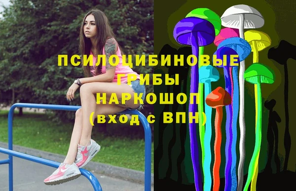 гашик Аркадак