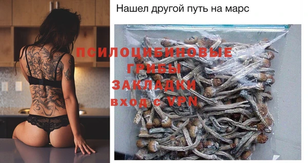 гашик Арсеньев
