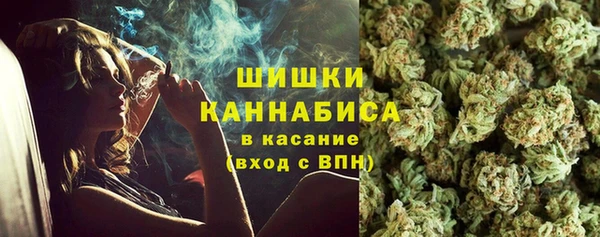 гашик Арсеньев