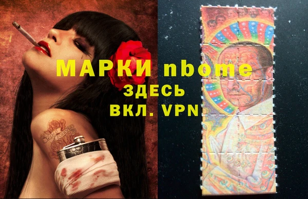гашик Аркадак